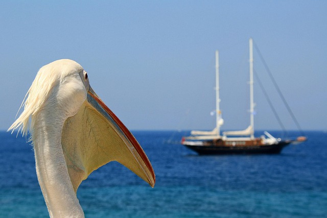 Mer Égée